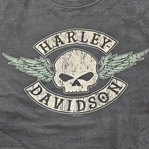 Harley-Davidson Other - Harley-Davidson Black and Green Skull Graphic Short Sleeve Tee